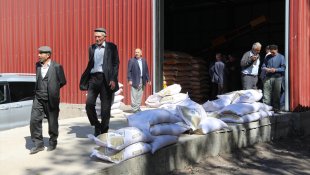 Güroymak'ta 80 çiftçiye 20 ton tohumluk buğday dağıtıldı