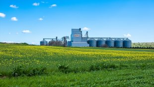 Banvit BRF, gıda israfının önlenmesine katkı sağlamayı hedefliyor