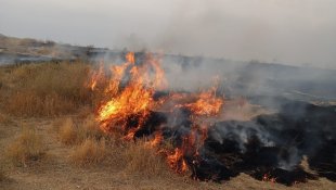 Adır Adası'ndaki yangın bugün tekrar başladı