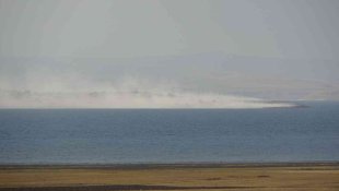Van Gölü'nün en büyük adasında yangın