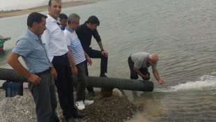 Karakaya Barajı'na 300 bin balık yavrusu bırakıldı