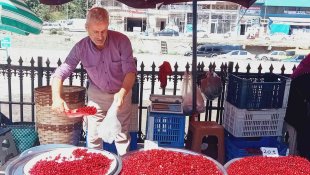 Tezgahlarda yerini aldı! 20 liradan satılıyor