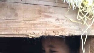 Erzurum'da küçük çocuğun köpek sevgisi görenleri gülümsetti