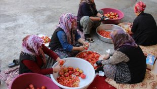 Hakkari'de kadınların salça mesaisi sürüyor