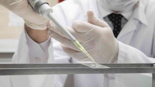 Atatürk Üniversitesinden DMD hastaları için umut verici çalışma