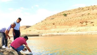 Malatya'daki göletlere 2 milyon yavru balık