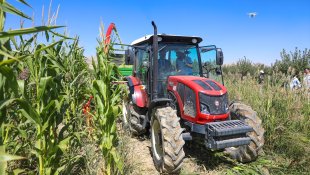 Van'da devlet desteğiyle yetiştirilen silajlık mısırın hasadına başlandı
