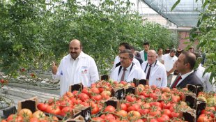 Tarım Kredi kurmayları termal seralara hayran kaldı
