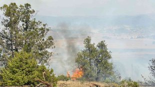 Refahiye'de ormanlık alanda yangın