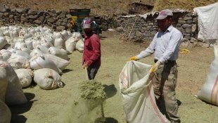 Muş'ta besiciler 5 aylık zorlu kış mesaisi için hazırlıklara başladı