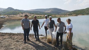 Tunceli'deki Günboğazı Göleti'ne 100 bin pullu sazan yavrusu bırakıldı