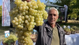 Elazığ'da "bağ bozumu ve orcik" etkinliği yapıldı