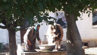 Tek geçim kaynaklarını yangında kaybetmişlerdi: O aileye kaymakamlık inek hediye etti