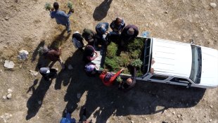 Elazığlı kadınlar atıl arazileri aromatik bitkilerle tarıma kazandırıyor