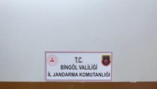Bingöl'de narkoterör operasyonu: 32 bin kök kenevir ele geçirildi