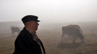 Kars'ta yoğun sis etkili oldu