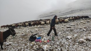 Ağrı'da etkili olan kar ve siste çobanların zorlu mesaisi sürüyor