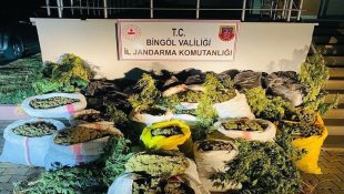 Bingöl'de terör finans kaynağına ağır darbe: 6 milyon kök kenevir ele geçirildi