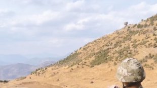 Mehmetçiğin baktığı kedi ve köpeğe sosyal medyada büyük ilgi