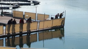 Elazığ'da "Fırat Turnası" etkinliğinde balık tutma yarışması yapıldı