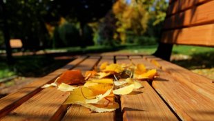 Sonbahar halsizliğine diyetisyenlerden tavsiyeler