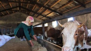 Üniversiteyi bitirdi, devletten aldığı destek ile genç yaşta besici oldu