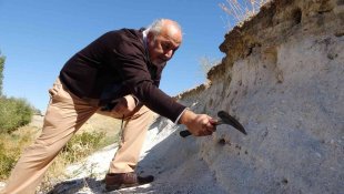 Muş Ovası'nda ilk kez 12 milyon yıllık olduğu düşünülen deniz canlıları fosiline rastlandı