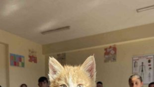 Ağrı'da öğrencilerin sahiplendiği yavru kedi 'Mandalina' okulun maskotu oldu