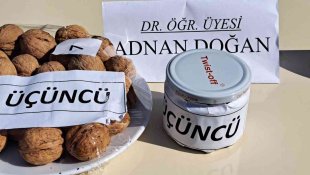 Adilcevaz'da 25. Ceviz Festivali ve Kültür Etkinlikleri düzenlendi