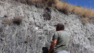 Esrarengiz insan iskeleti yol kenarında gözüküyor