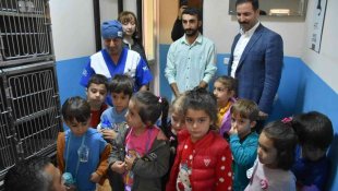 Tatvan'da minikler can dostları ile buluştu