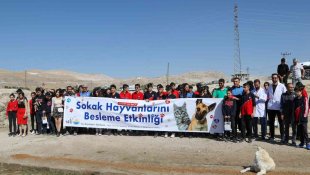 Van'da '4 Ekim Dünya Hayvanları Koruma Günü' etkinliği