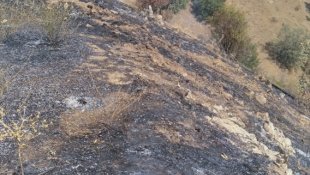 Malatya'da ormanlık alan yangında zarar gördü