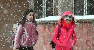 Ardahan ve Kars'ta kar yağışı etkili oluyor