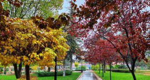 Kampüste sonbahar güzelliği