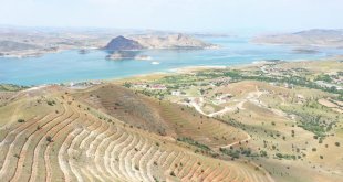 Tunceli'de 56 bin fidan toprakla buluştu