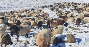 Türkiye'nin en yüksek rakımlı köyüne mevsimin ilk karı yağdı