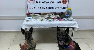 Malatya'da uyuşturucu operasyonunda 4 zanlı yakalandı