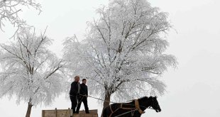 Doğu Anadolu'nun yüksek kesimlerinde kar yağışı
