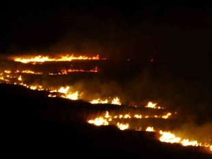 Yüksekova'nın kuş cenneti 4 gündür alev alev yanıyor