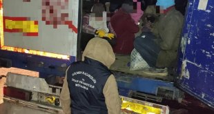 Bitlis'te tır dorsesinde 133 düzensiz göçmen yakalandı