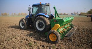 "Liseli çiftçiler" buğday tohumlarını toprakla buluşturdu