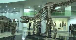 'Biyoçeşitliliği Koruma Çalıştayı'nda vahşi hayvan figürleri dikkat çekti