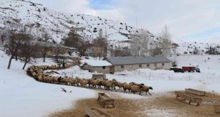Yüksek kesimler kardan beyaza büründü besicilerin kış sezonu başladı