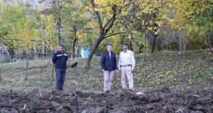 Karnavas pekmezine fidan desteği