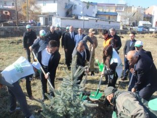 Çıldır'da fidan dikimi gerçekleştirildi