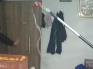 Elazığ'da eve giren 1 metrelik yılan paniğe neden oldu, ailenin yardımına itfaiye ekipleri yetişti