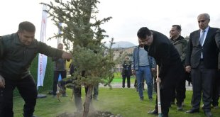 Doğa harikası Tortum Şelalesi'nin çehresi yeni dikilen fidanlarla değişecek