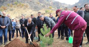 Tunceli'de 20 bin fidan toprakla buluşturuldu