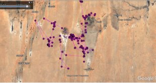 Iğdır'da yola çıkan bozkır kartalı Sudan'a ulaştı